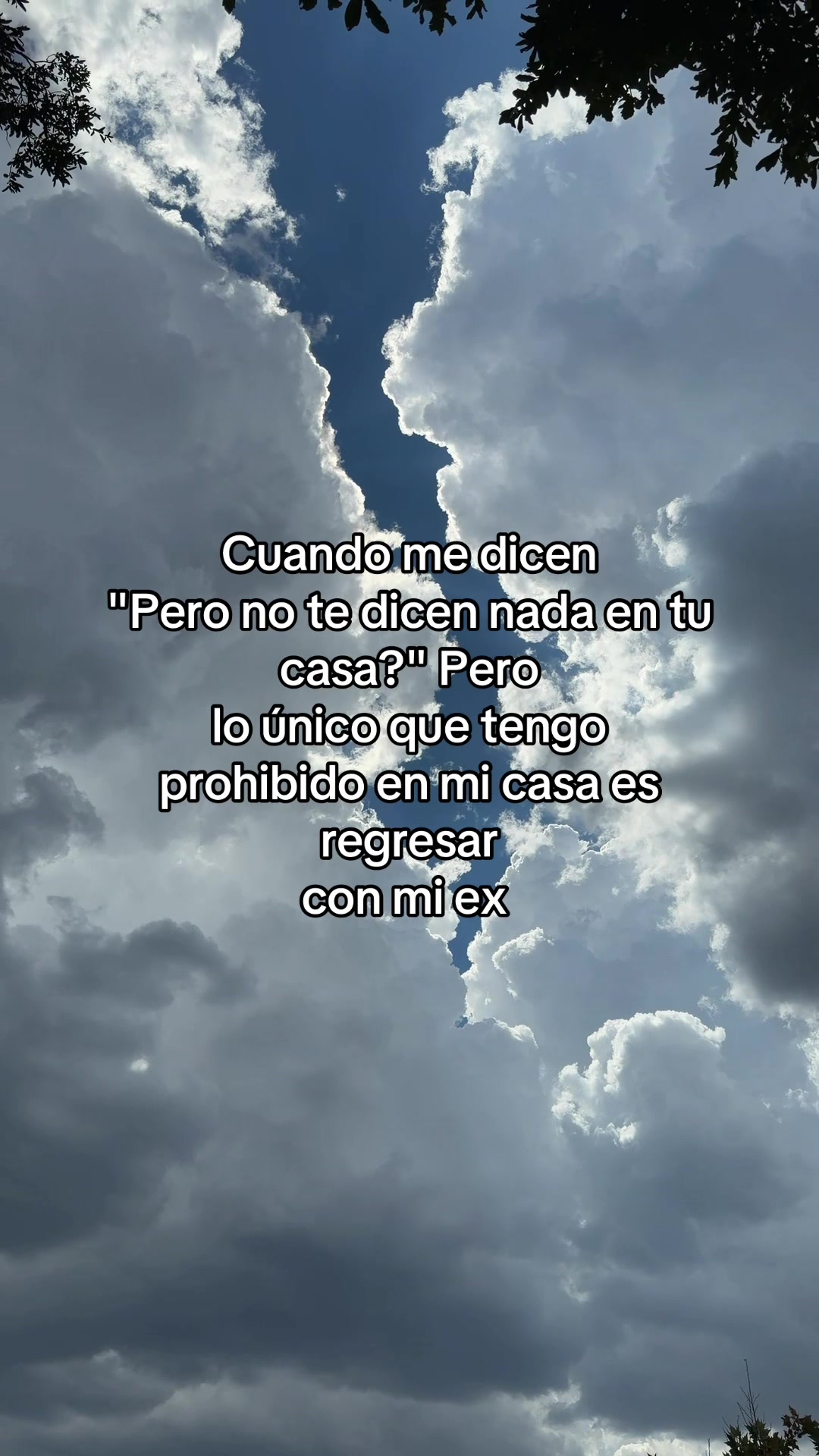 @El Trevol