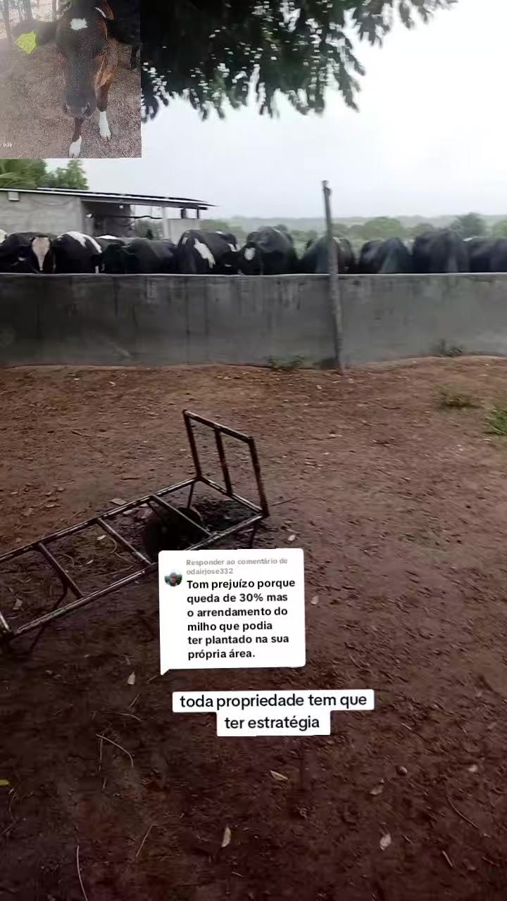 @jocriador