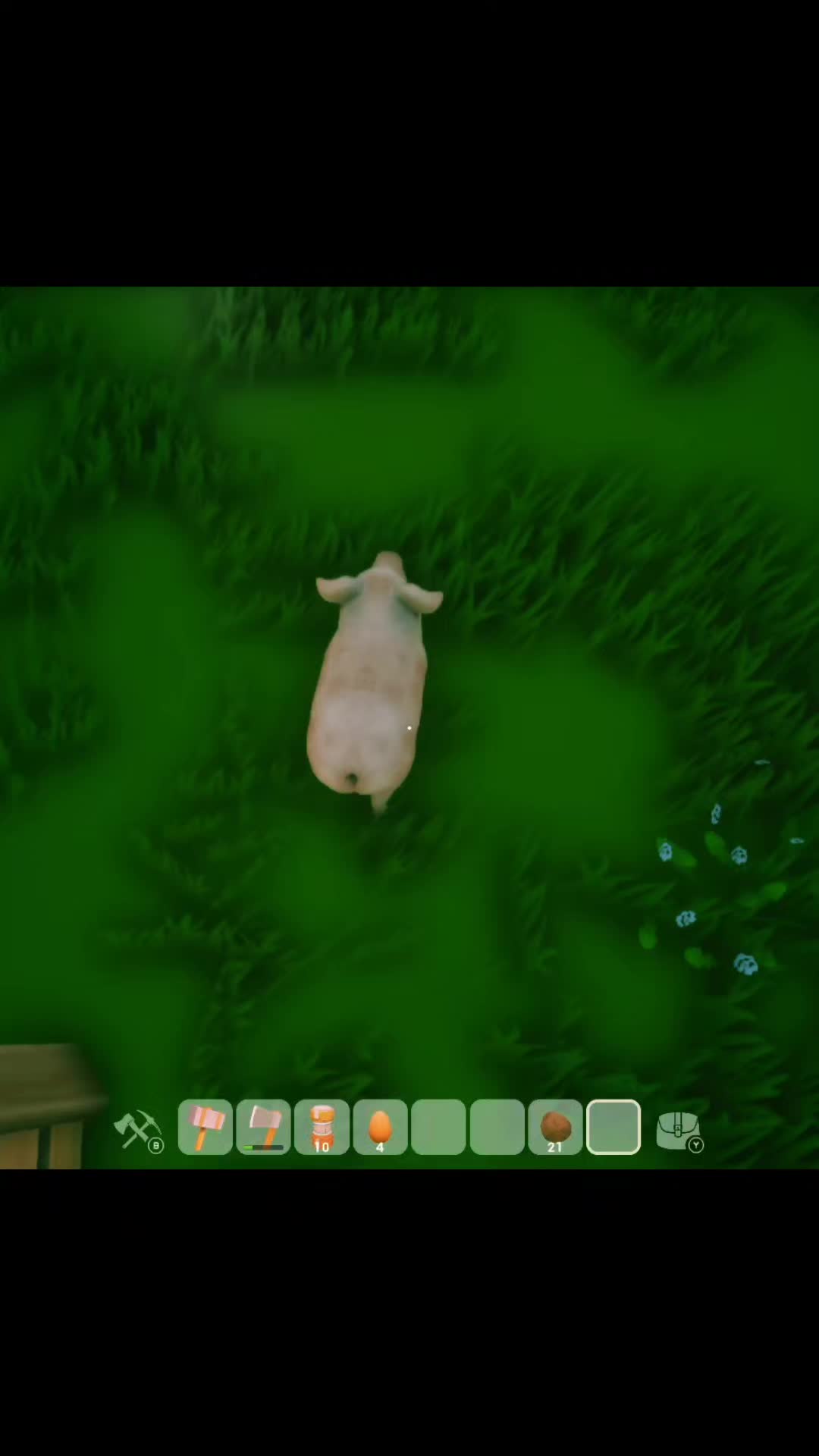 @Kbeargaming420🐻