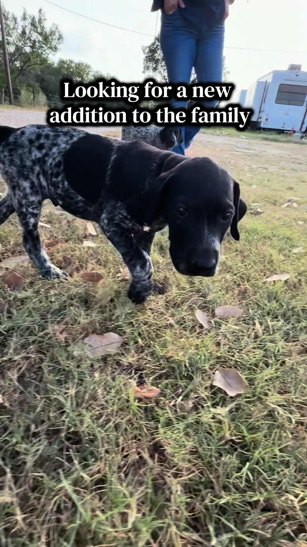 @Maury Vasquez