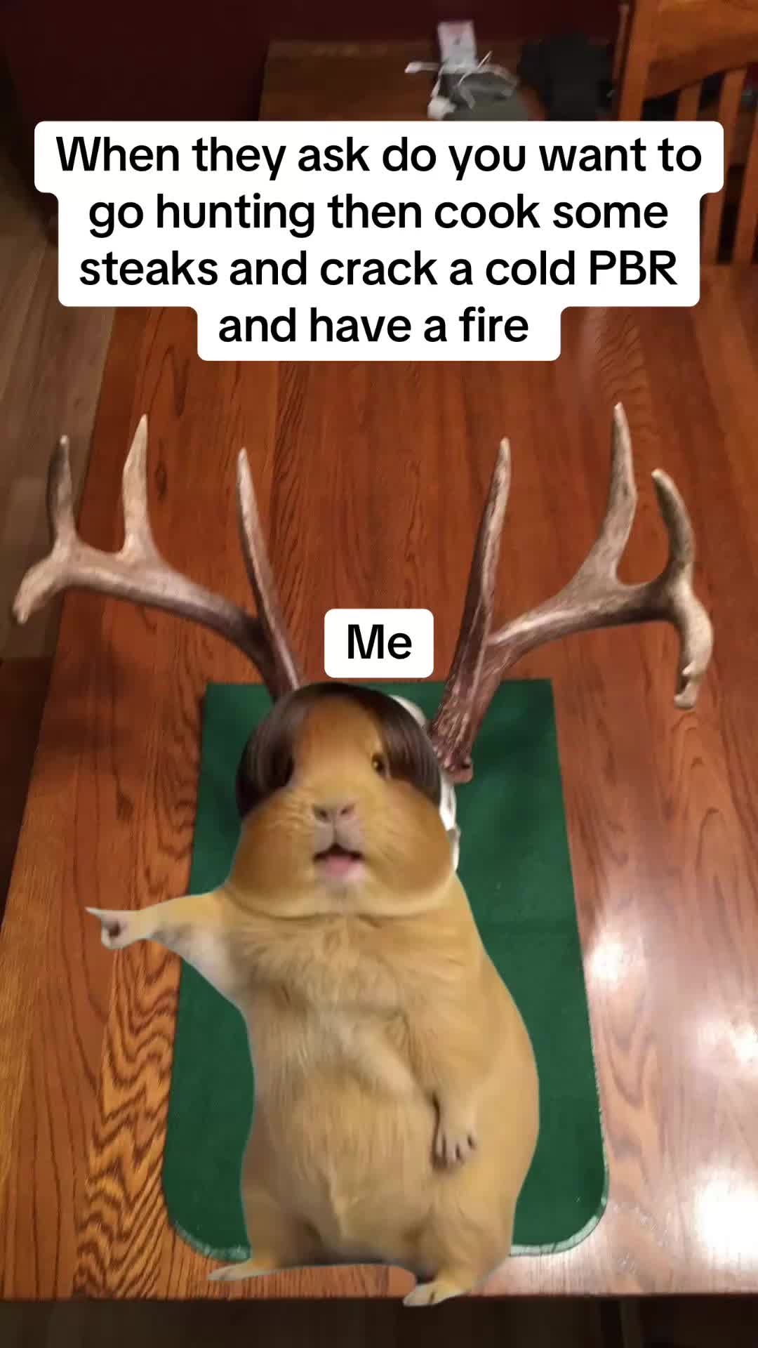 @𝓑𝓖𝓦𝓘𝓞𝓤𝓣𝓓𝓞𝓞𝓡𝓢