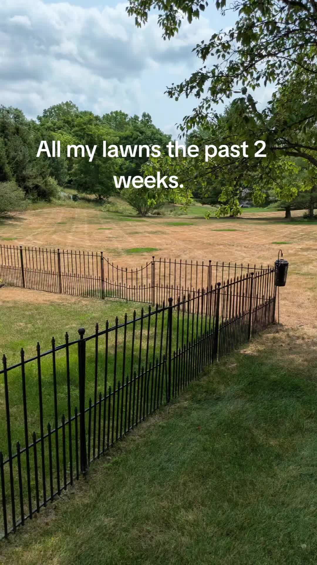 @mulletdingermaster3000