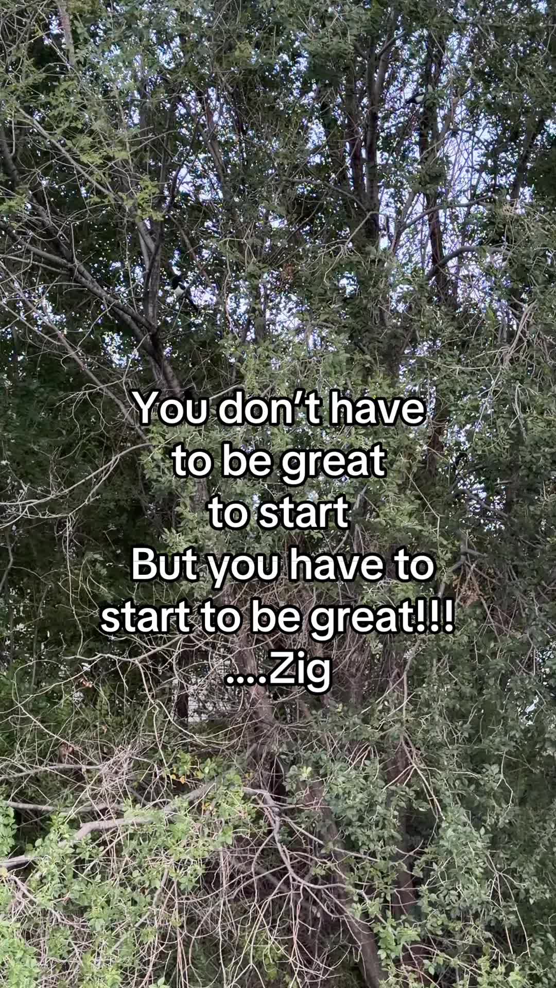 @Greg 🤪