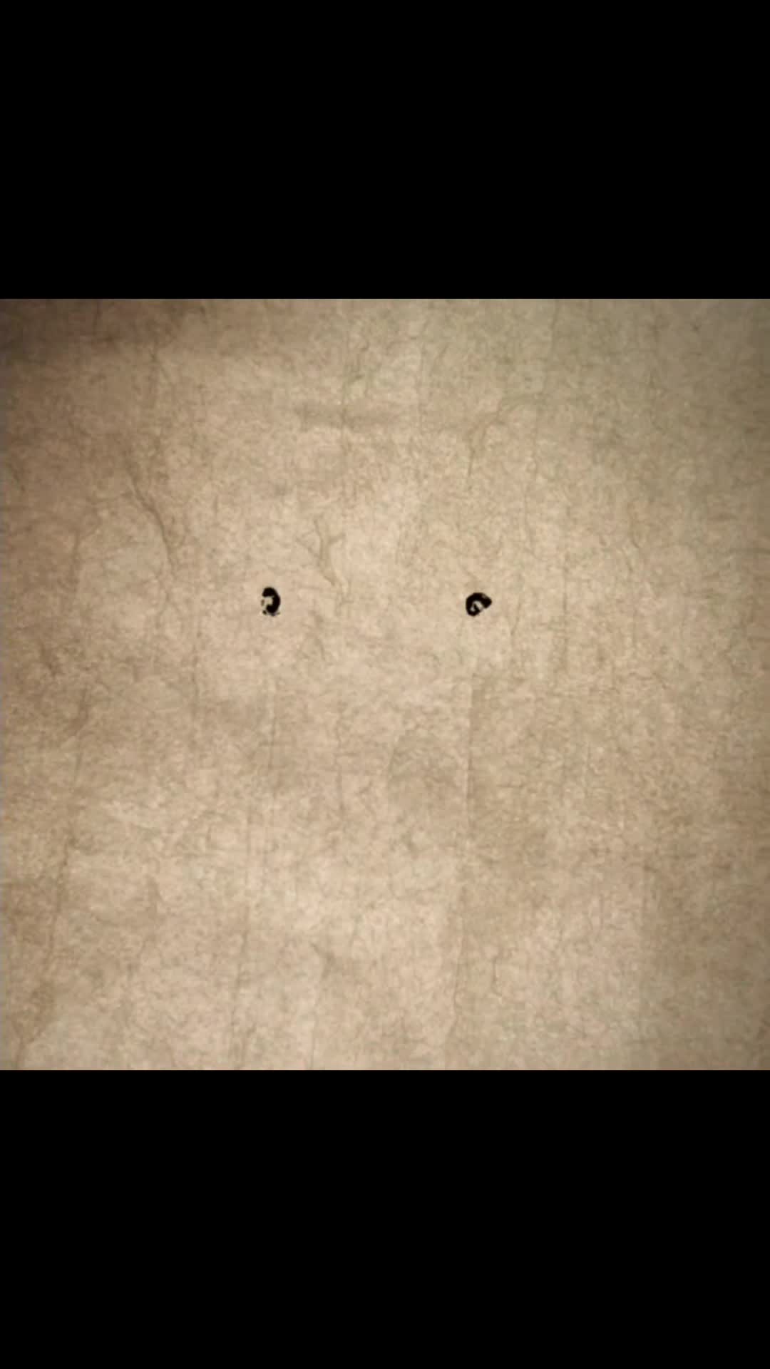 @MrPiggy100