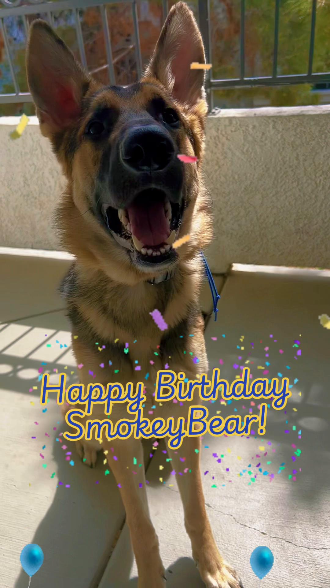 @💙SmokeyTheBear🐻🐾