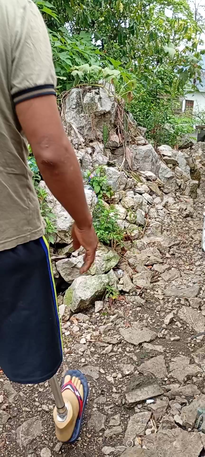 @lobo guerrero 🧑🦽🦿