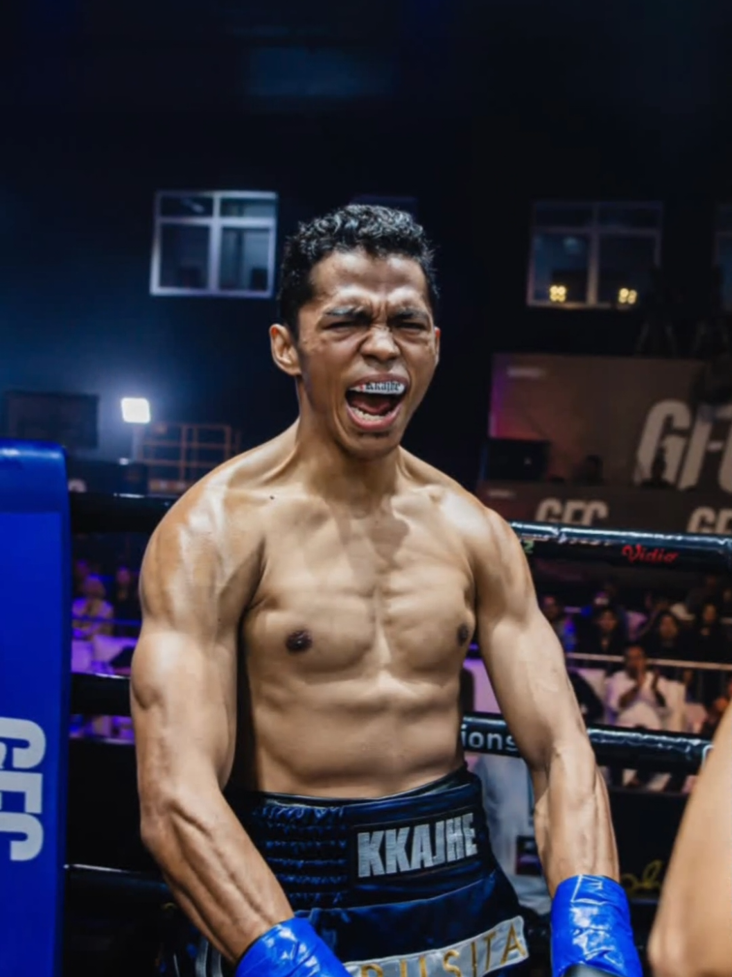 @FANS BOXING