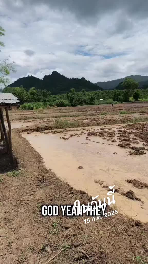 @poownai shop