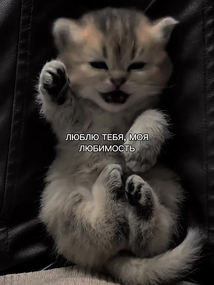 @ХХИКА