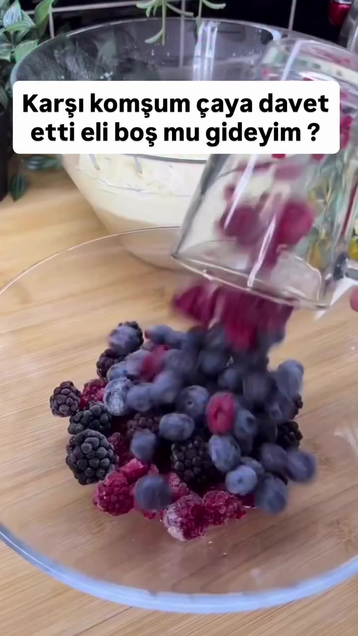 @aysece.birblogg