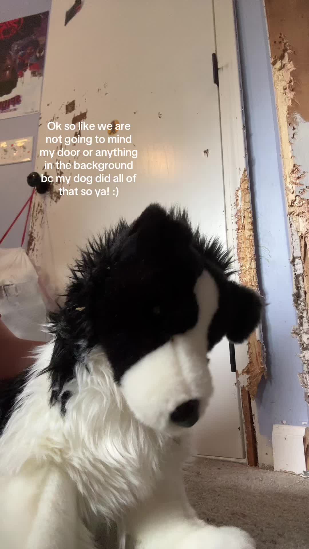 @‼️ 🐕🦺𝓸𝓹𝓪𝓵+𝓱𝓸𝓹𝓮✩🎧🎸