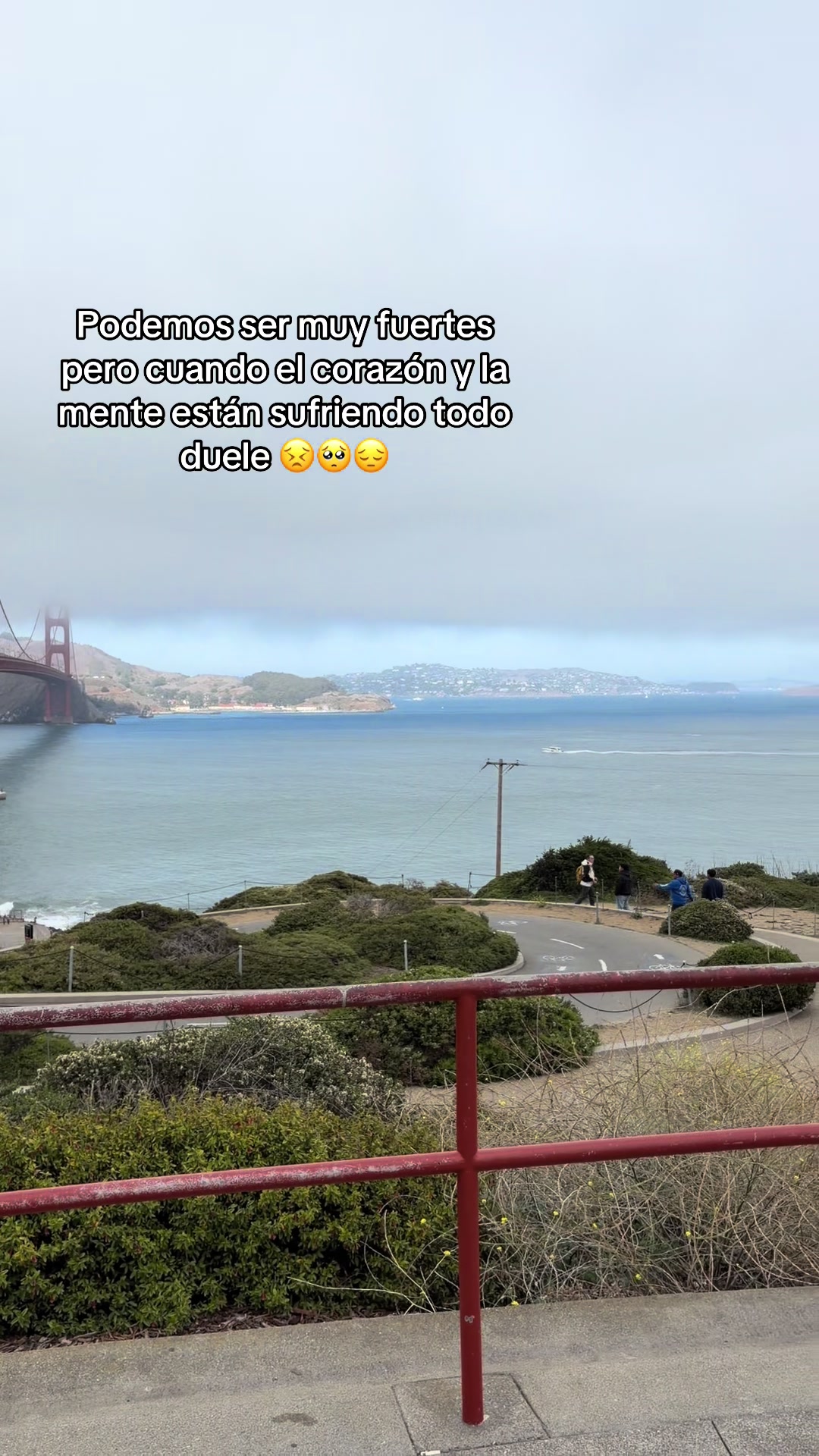 @Paola Perozo
