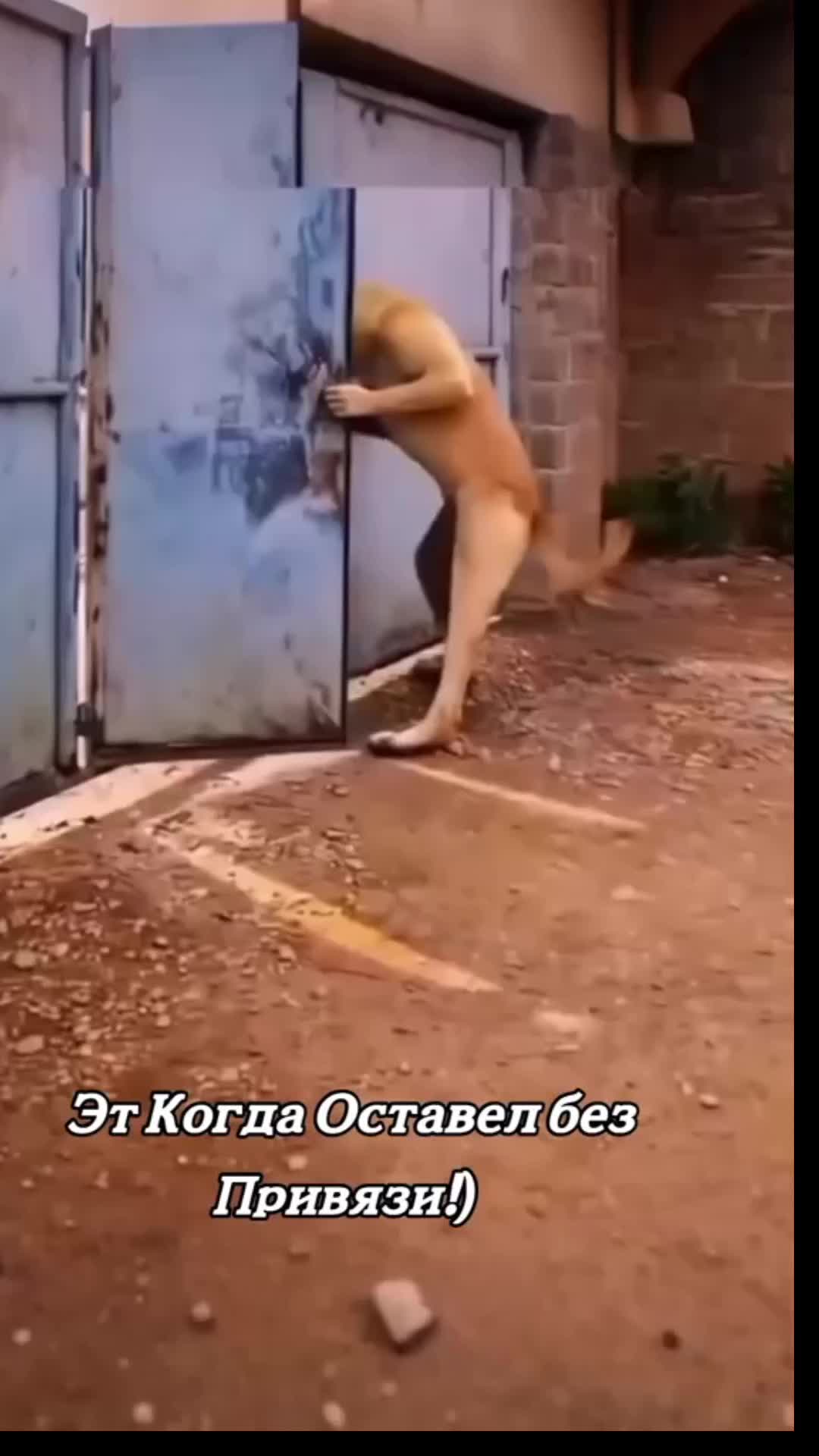 @Калинич