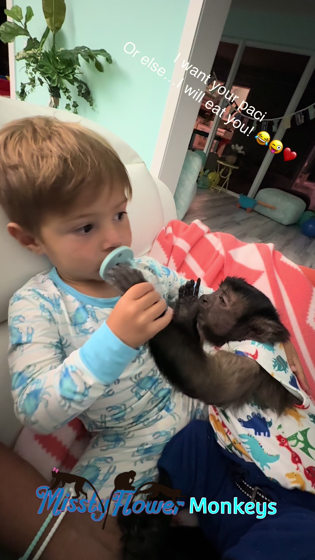 @MisstyFlower Monkeys