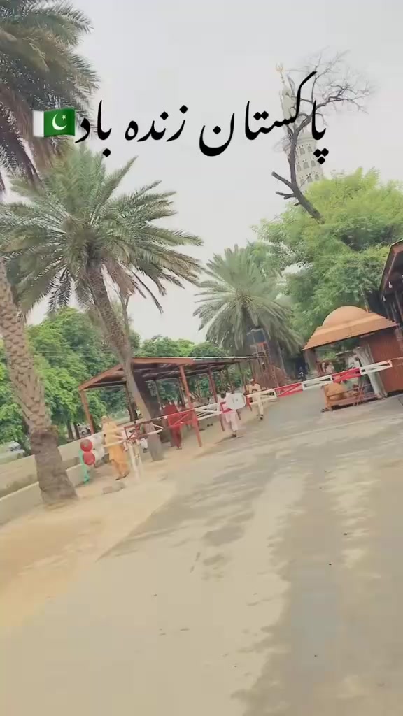 @Qasim07