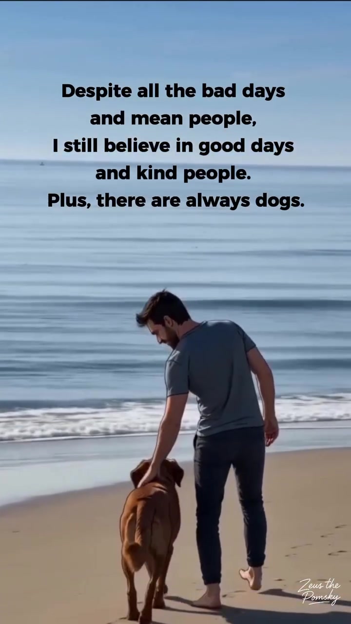 @Zeus the Pomsky🐾