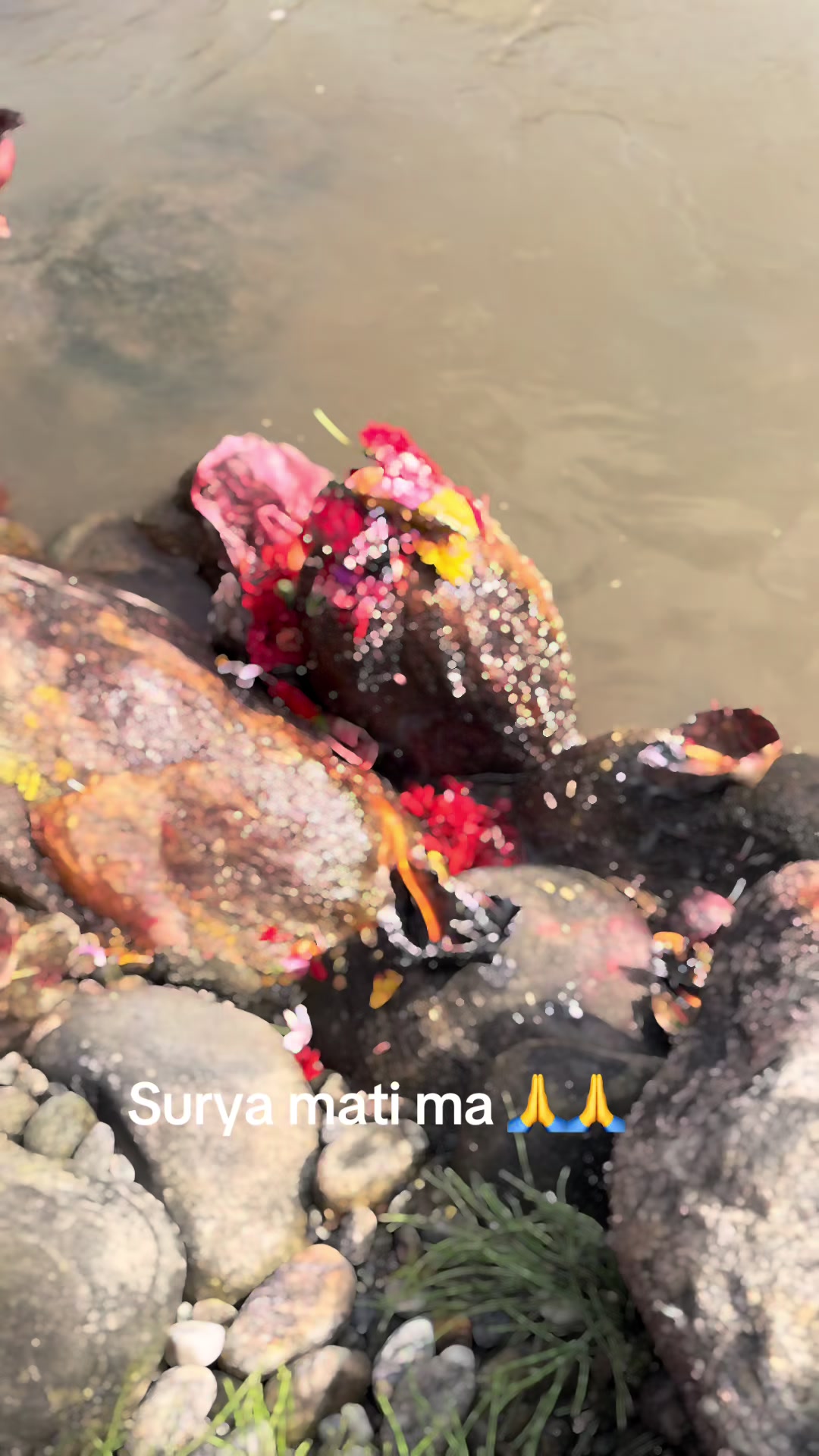 @Mina Pyakurel673