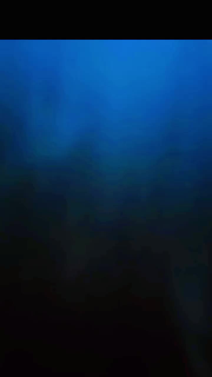 @🕊❤
