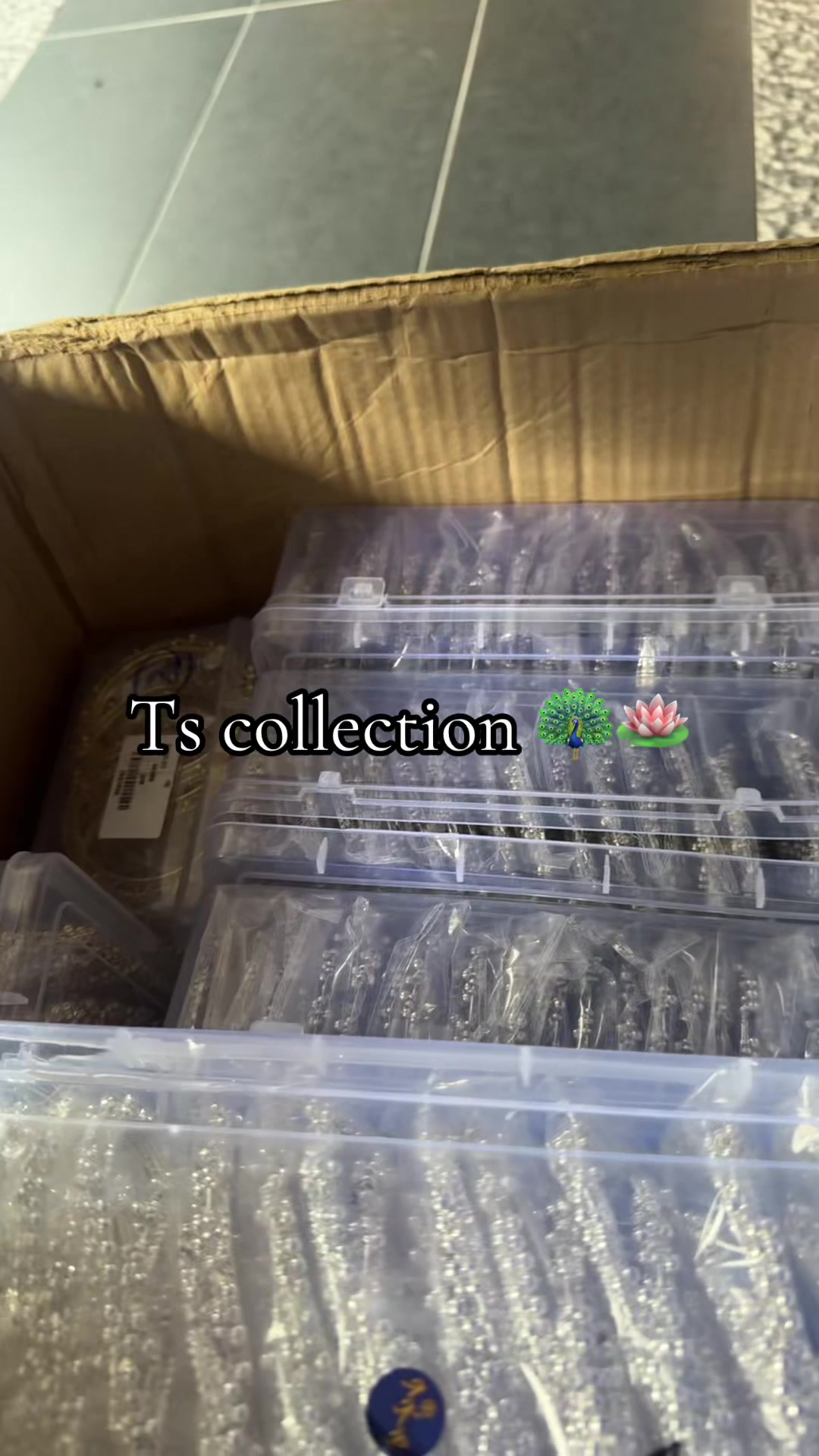 @TS COLLECTION