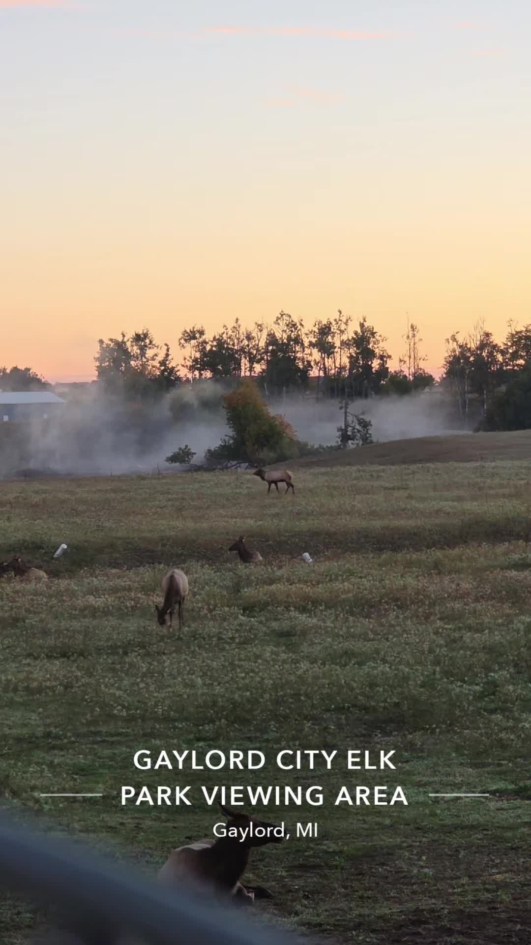 @Josue_wildlife_photography86