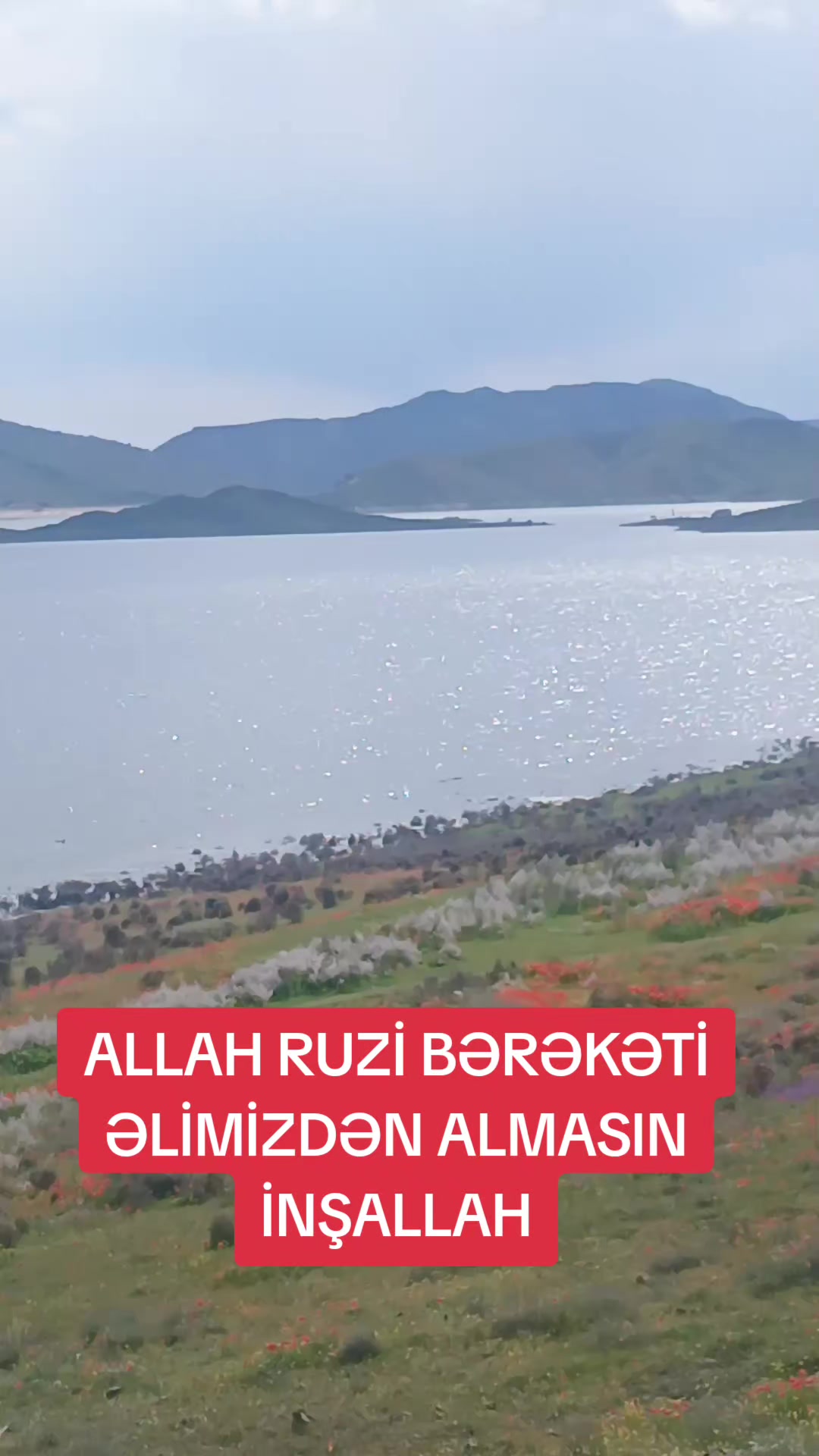 @Qasım_Tofiqoğlu