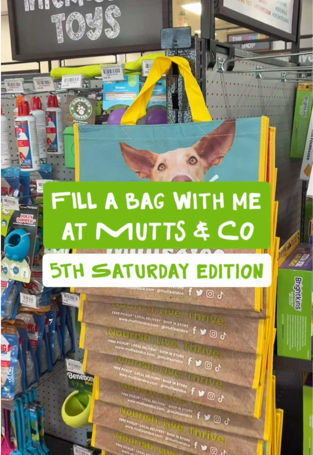 @Mutts & Co.