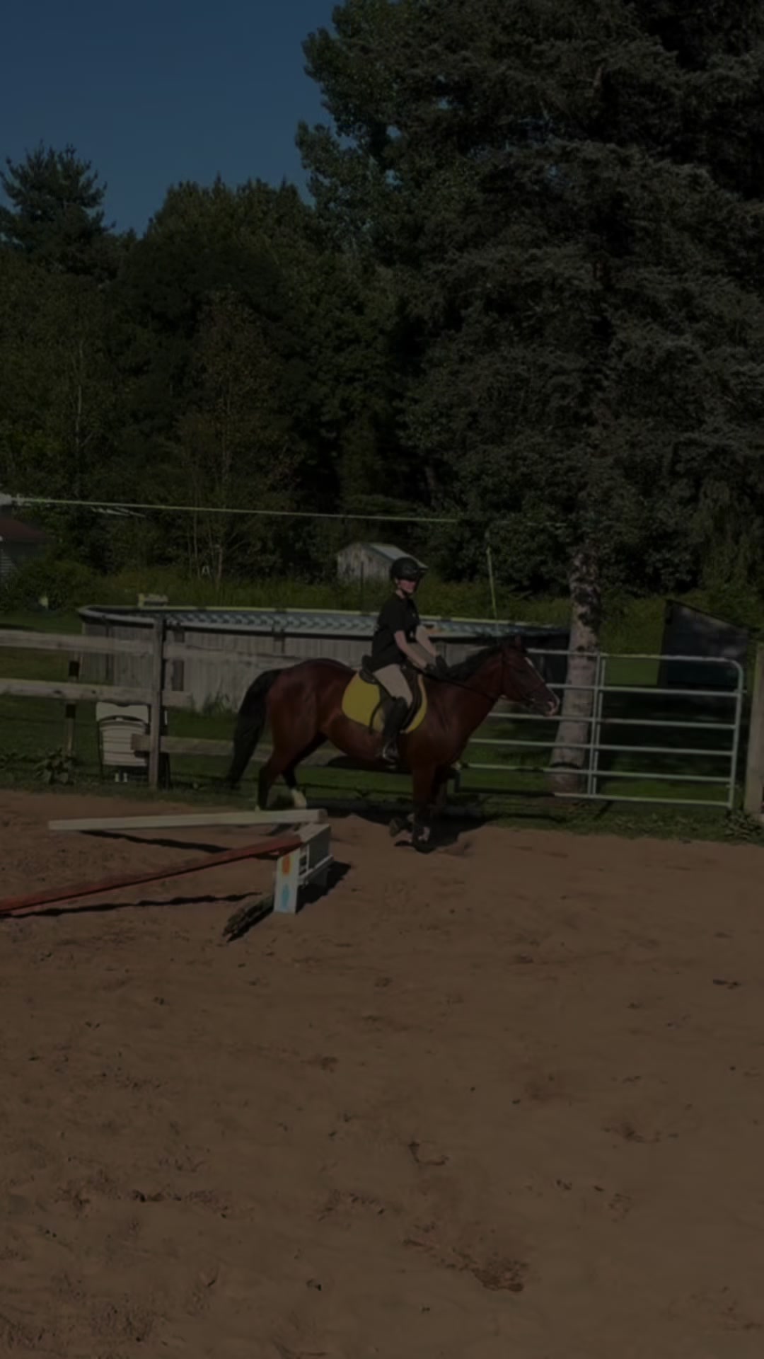 @🐎Aby 😌👌✨️