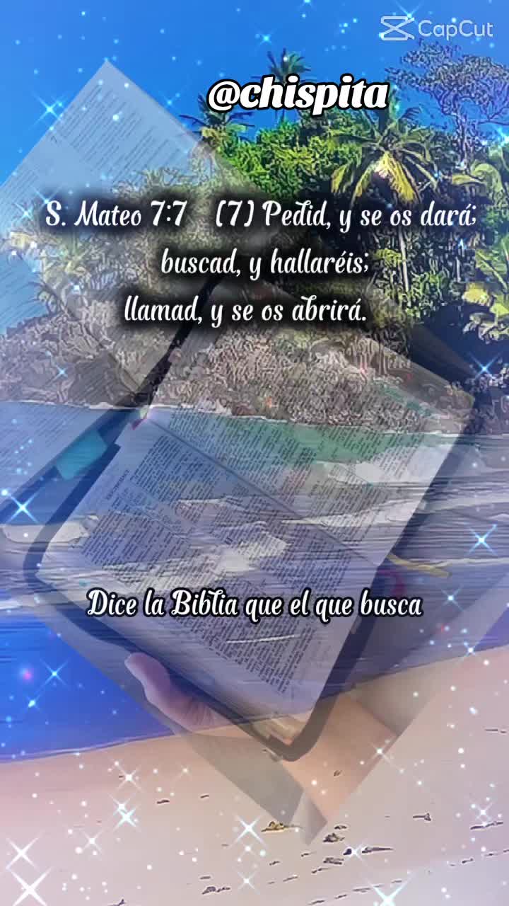 @👤Chispita