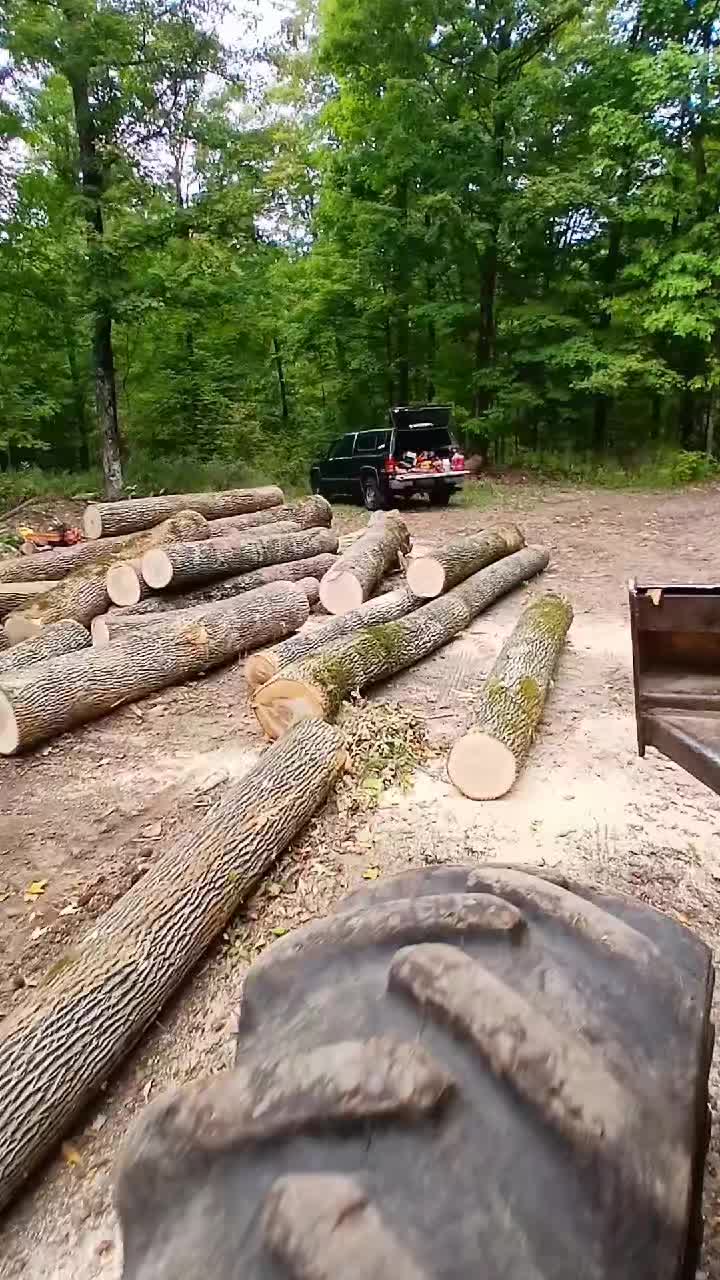 @JoeyLogger