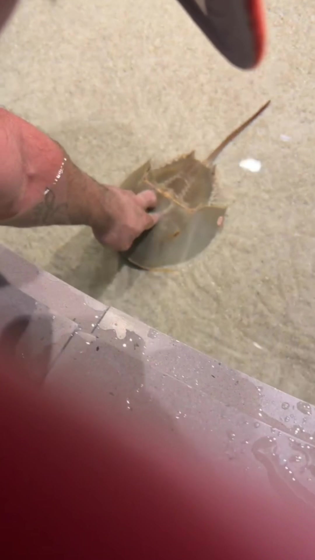 @Deserin Cruz