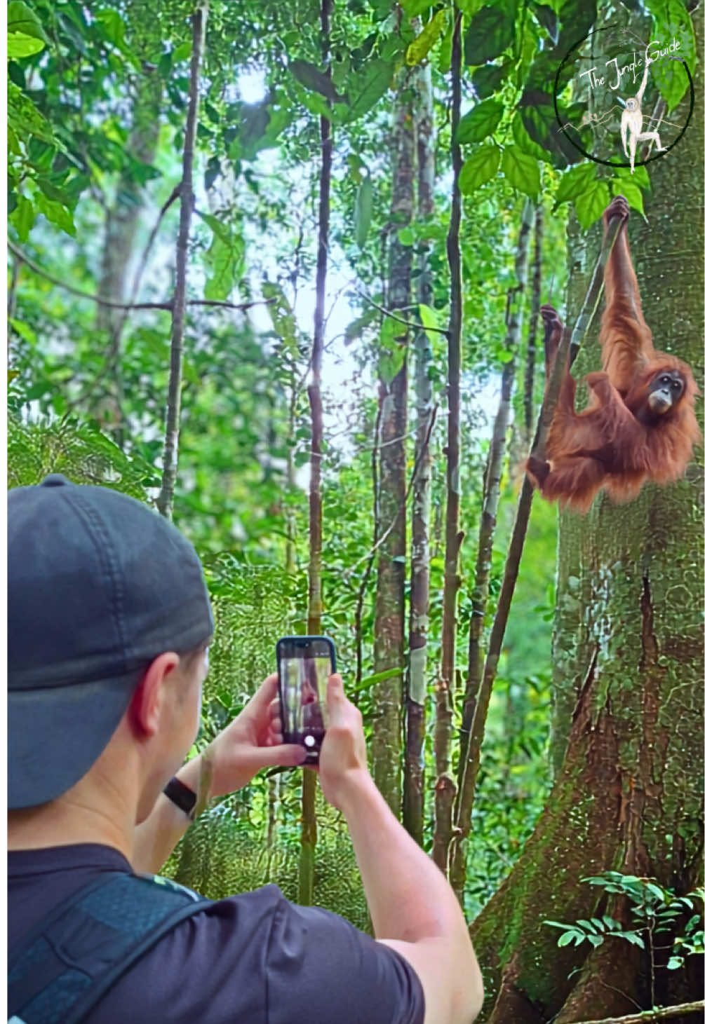 @The Jungle Guide