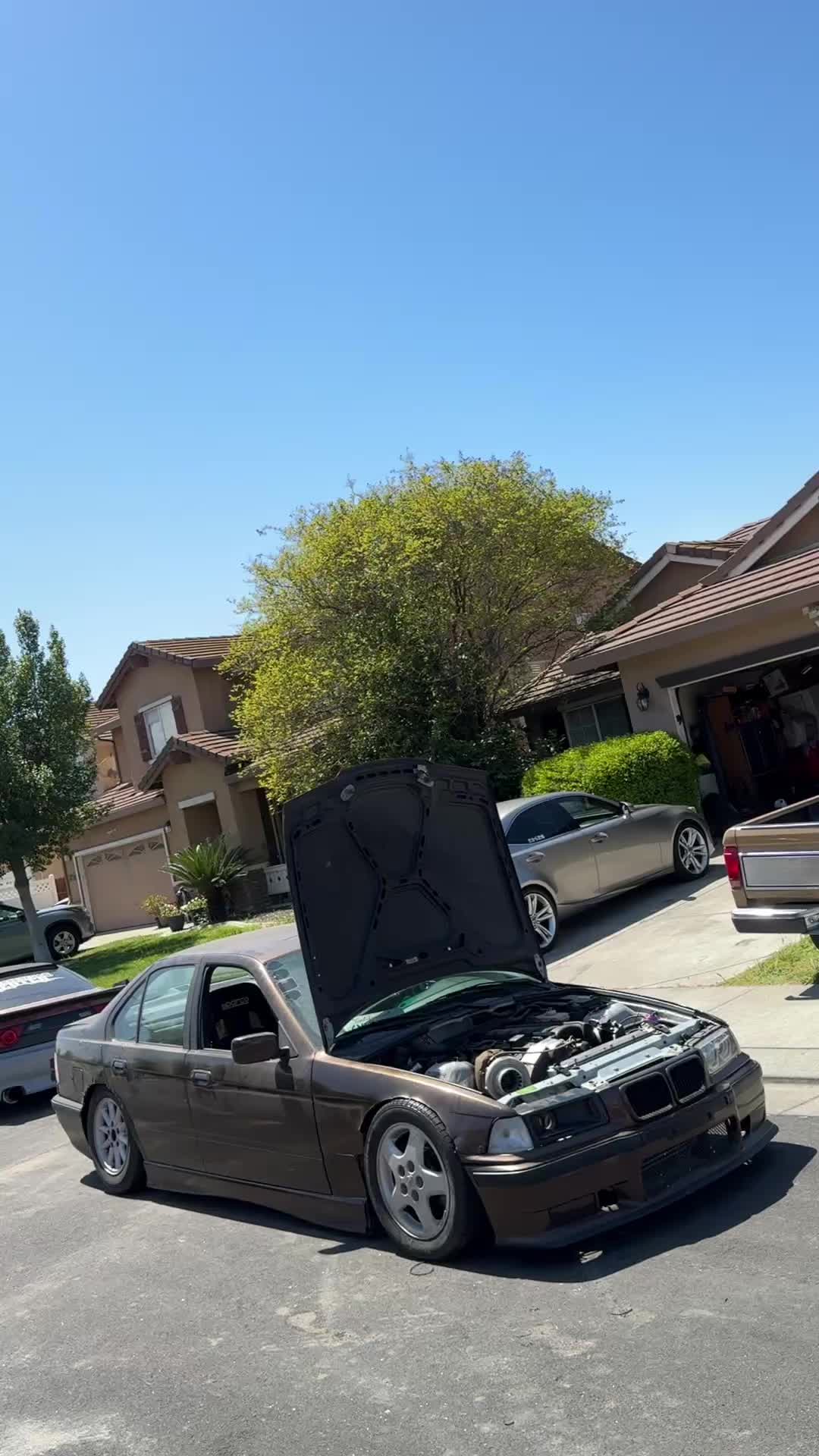 @luis