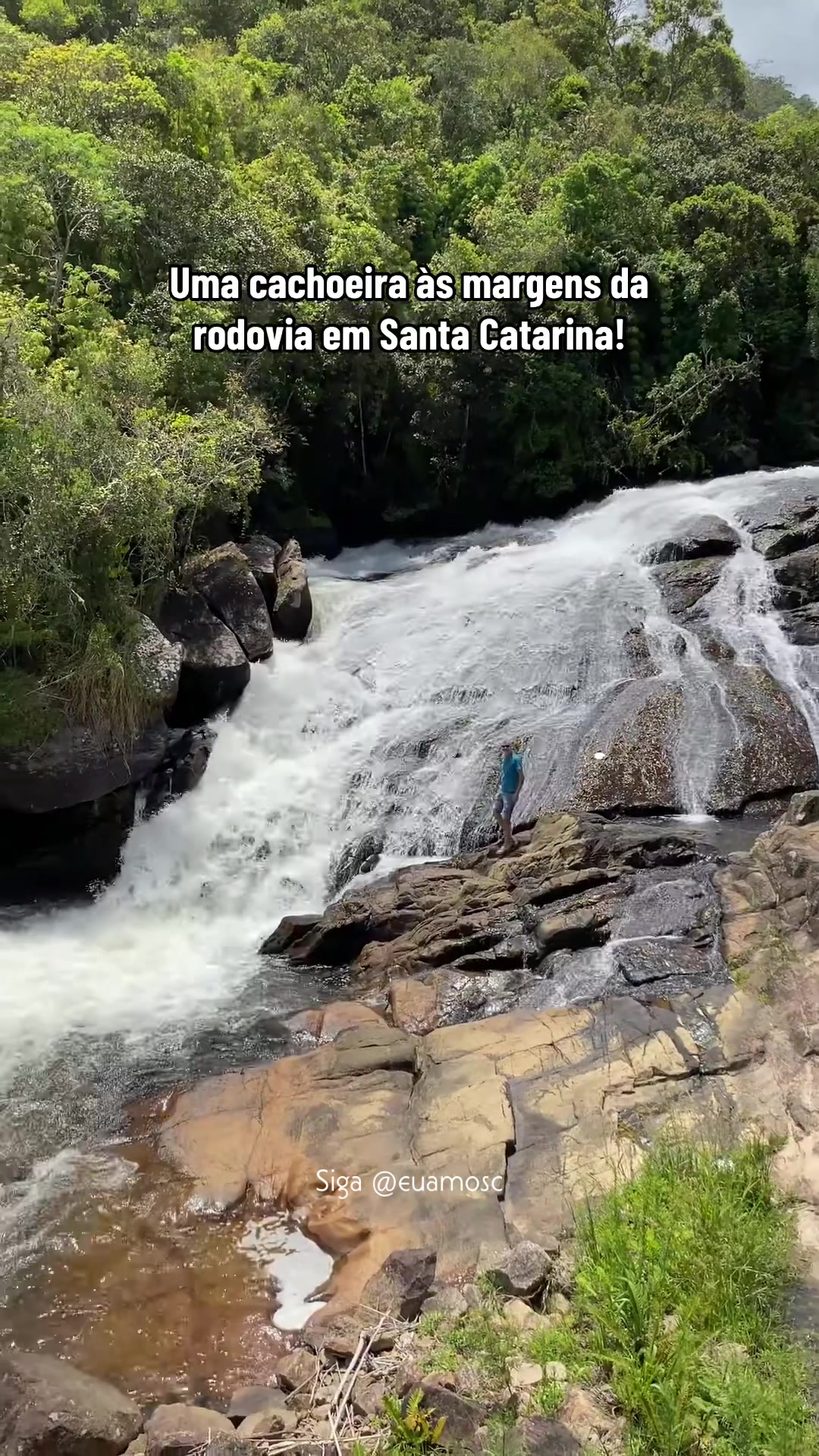 @EU AMO SC ❤️💚🫶