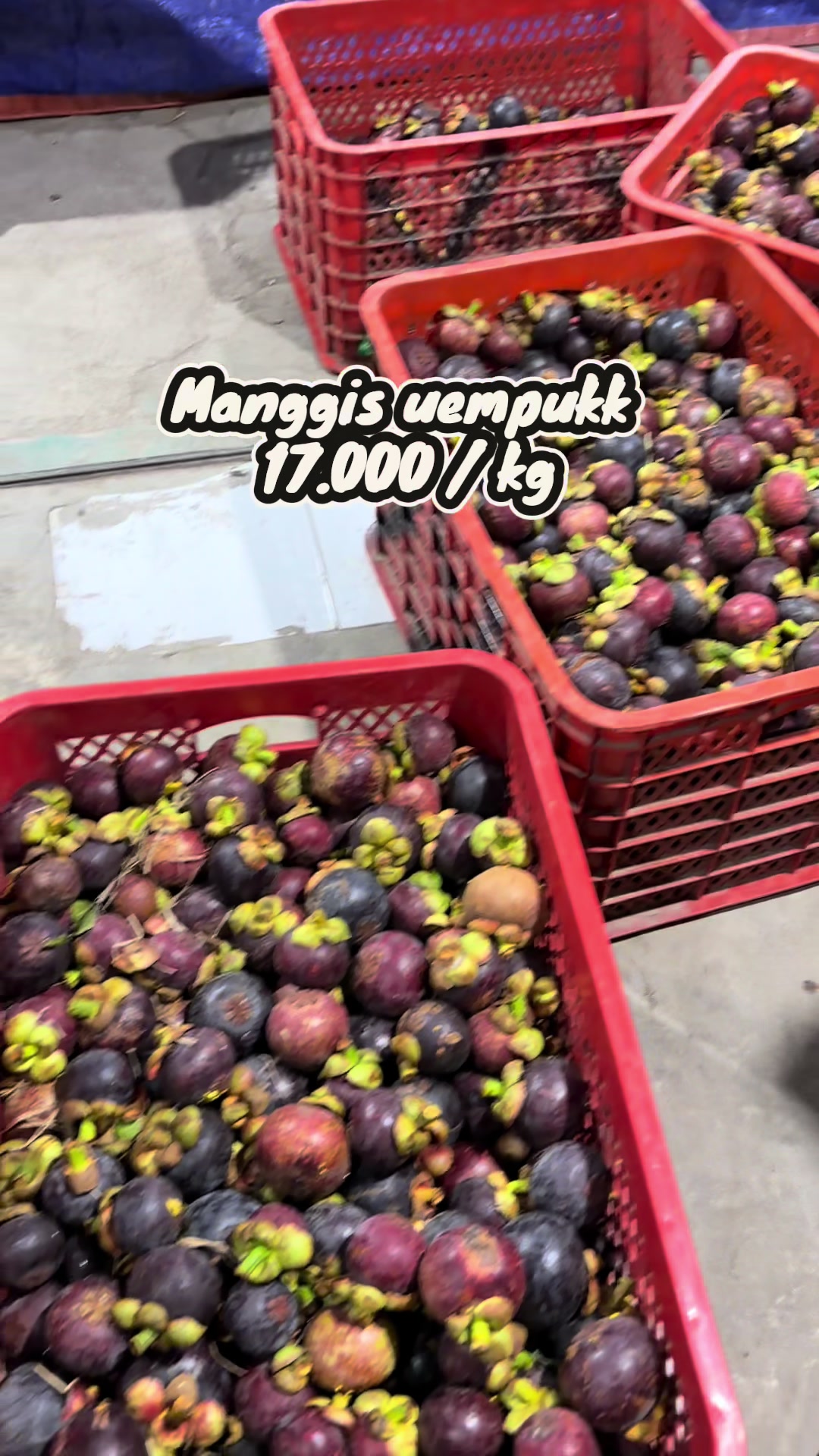 @Yy fruits