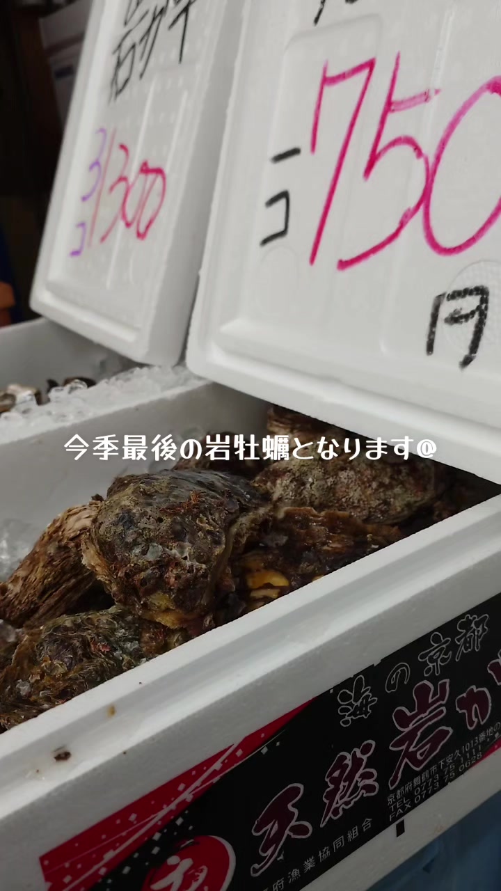 @京都舞鶴のさかなやさん