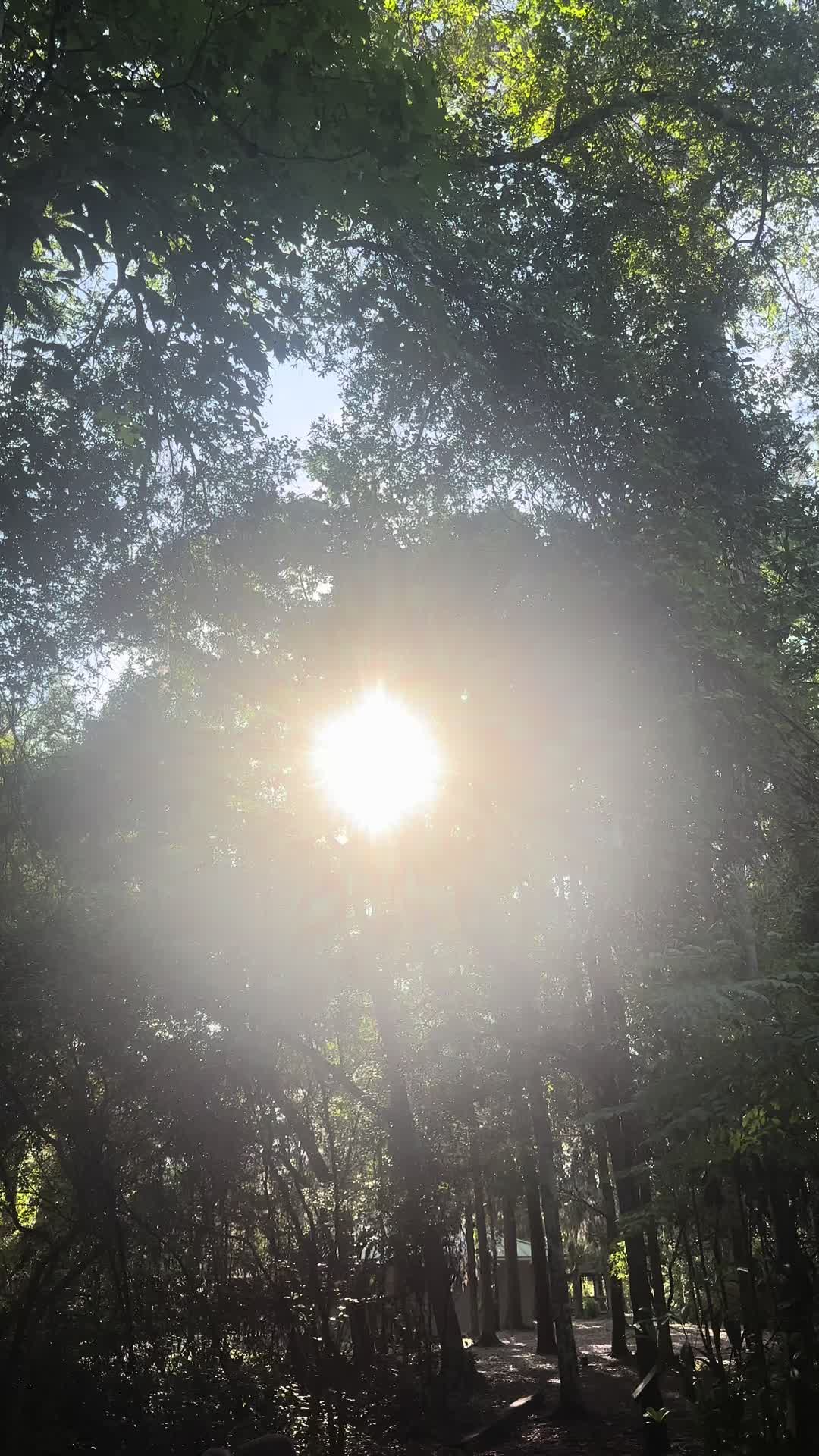 @Pestka🏡🌿💫
