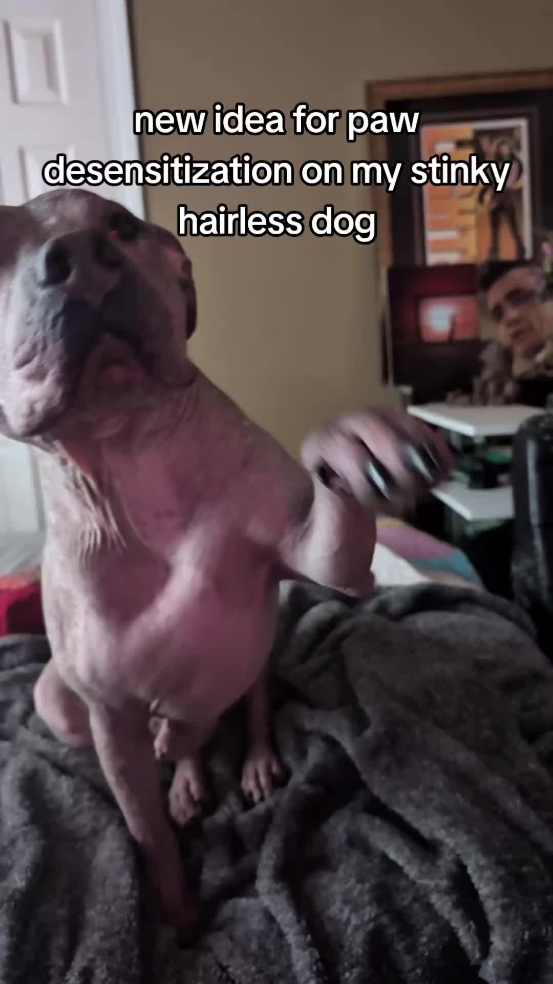 @Alexswaggzillaa