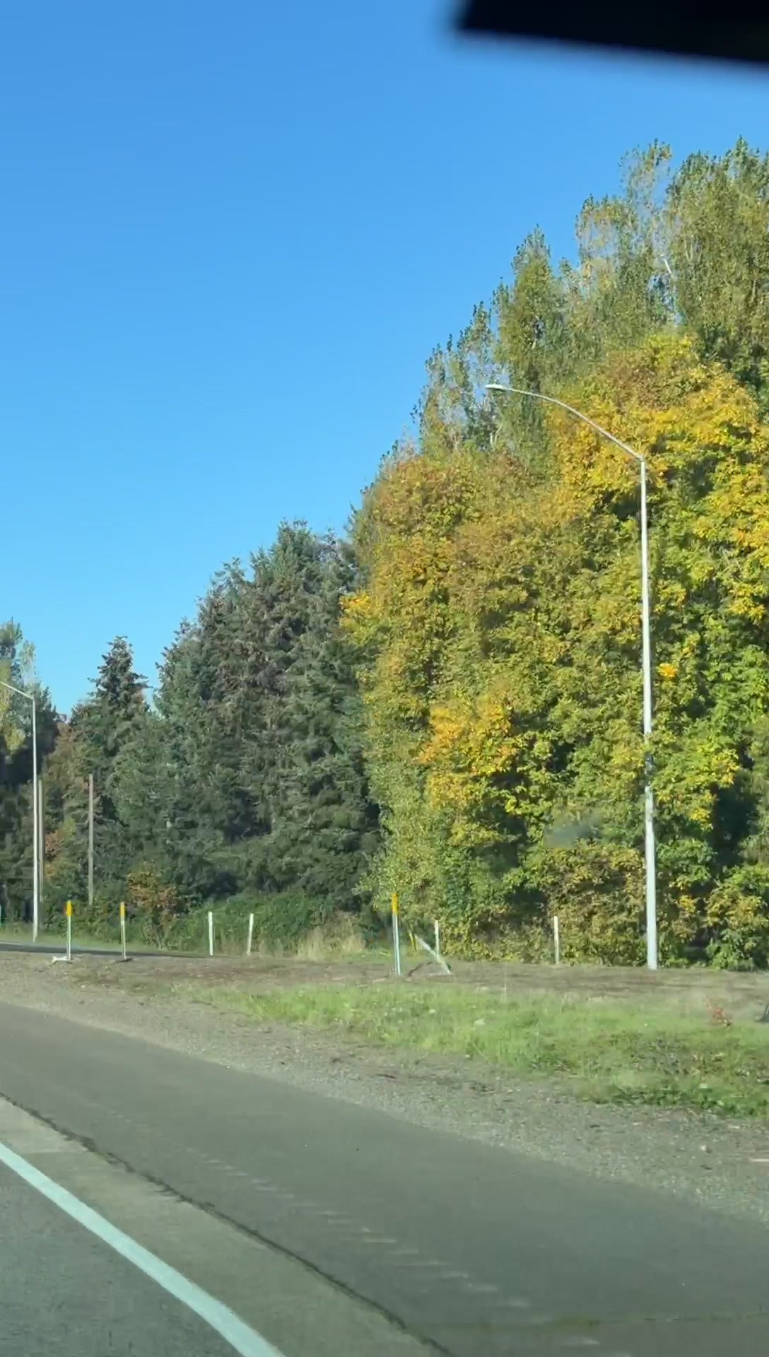 @Tik Toker