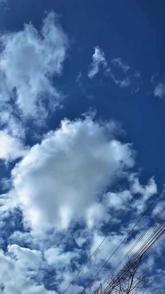 @BUNKERSKIE_122