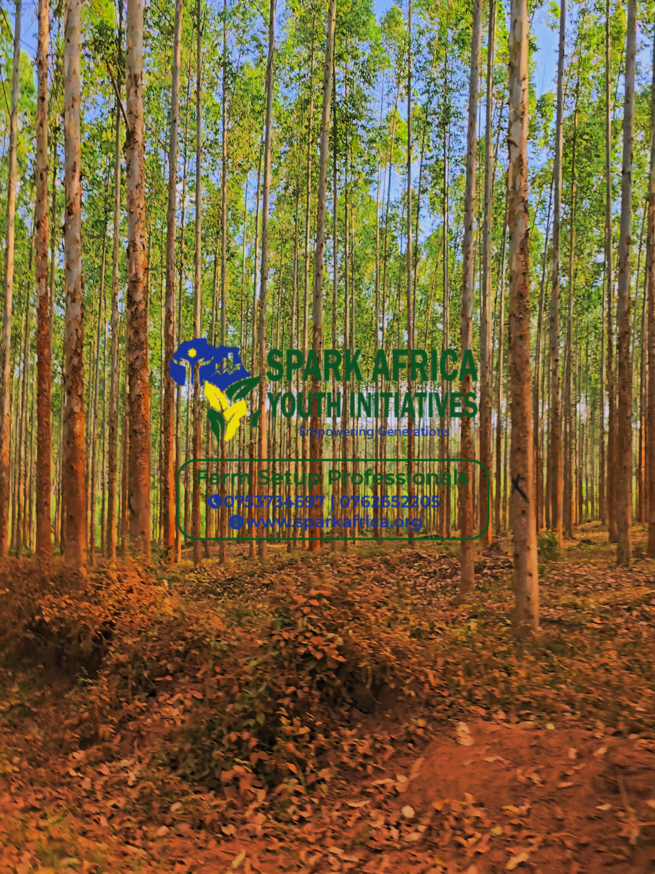 @SPARK AFRICA 1