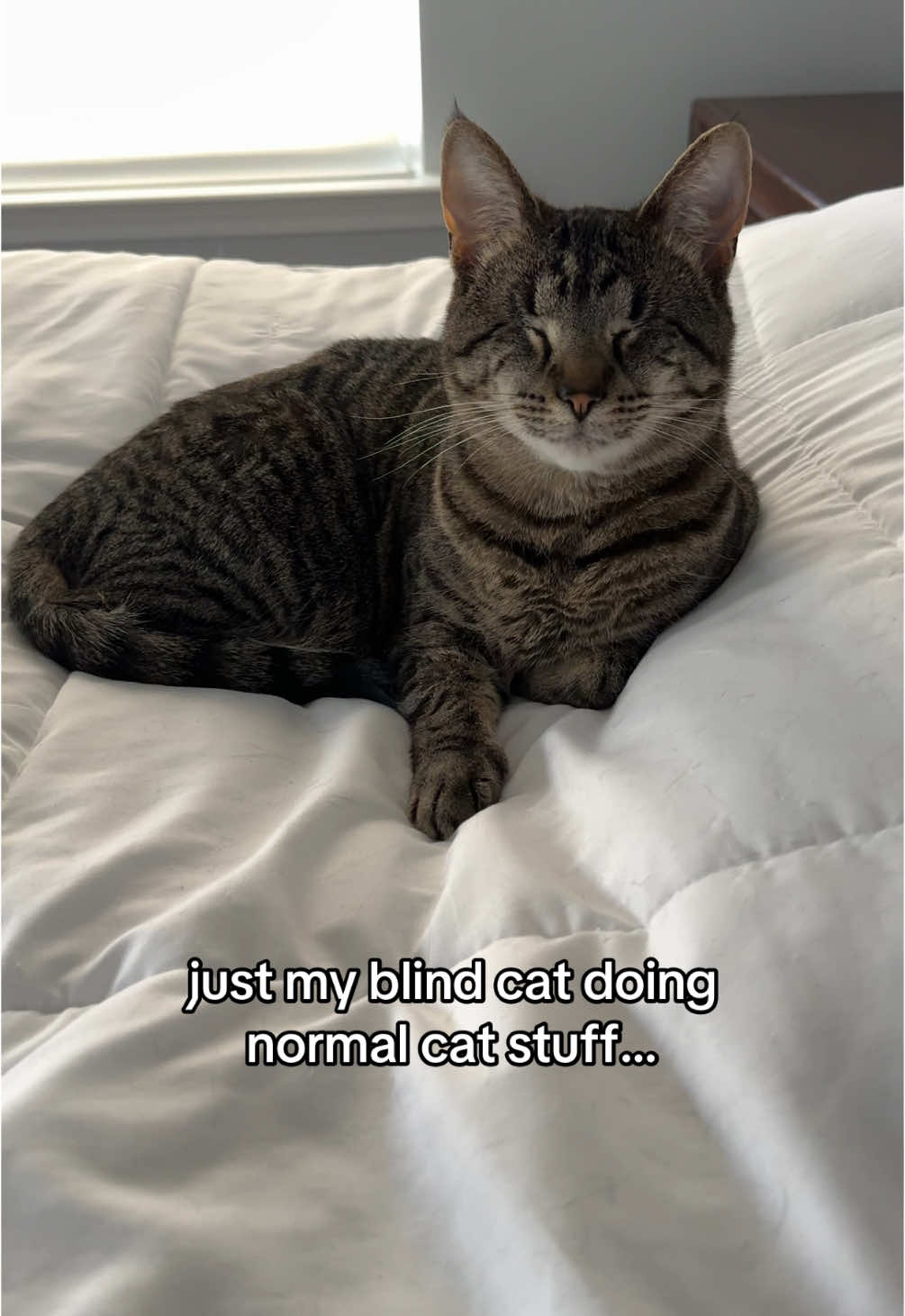@𝘼𝙢𝙗𝙚𝙧 & 𝙎𝙩𝙚𝙫𝙞𝙚