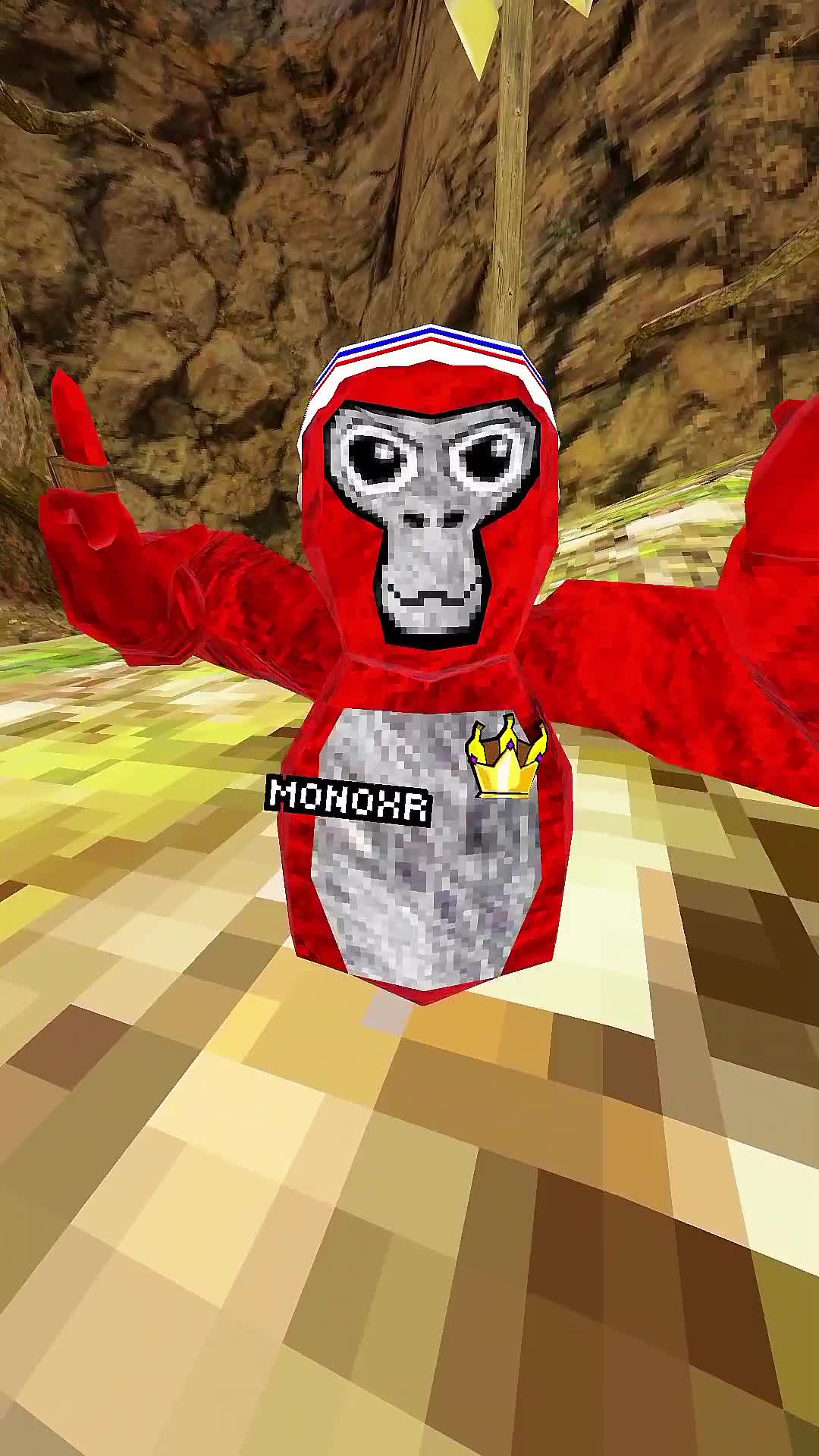 @MonoXR