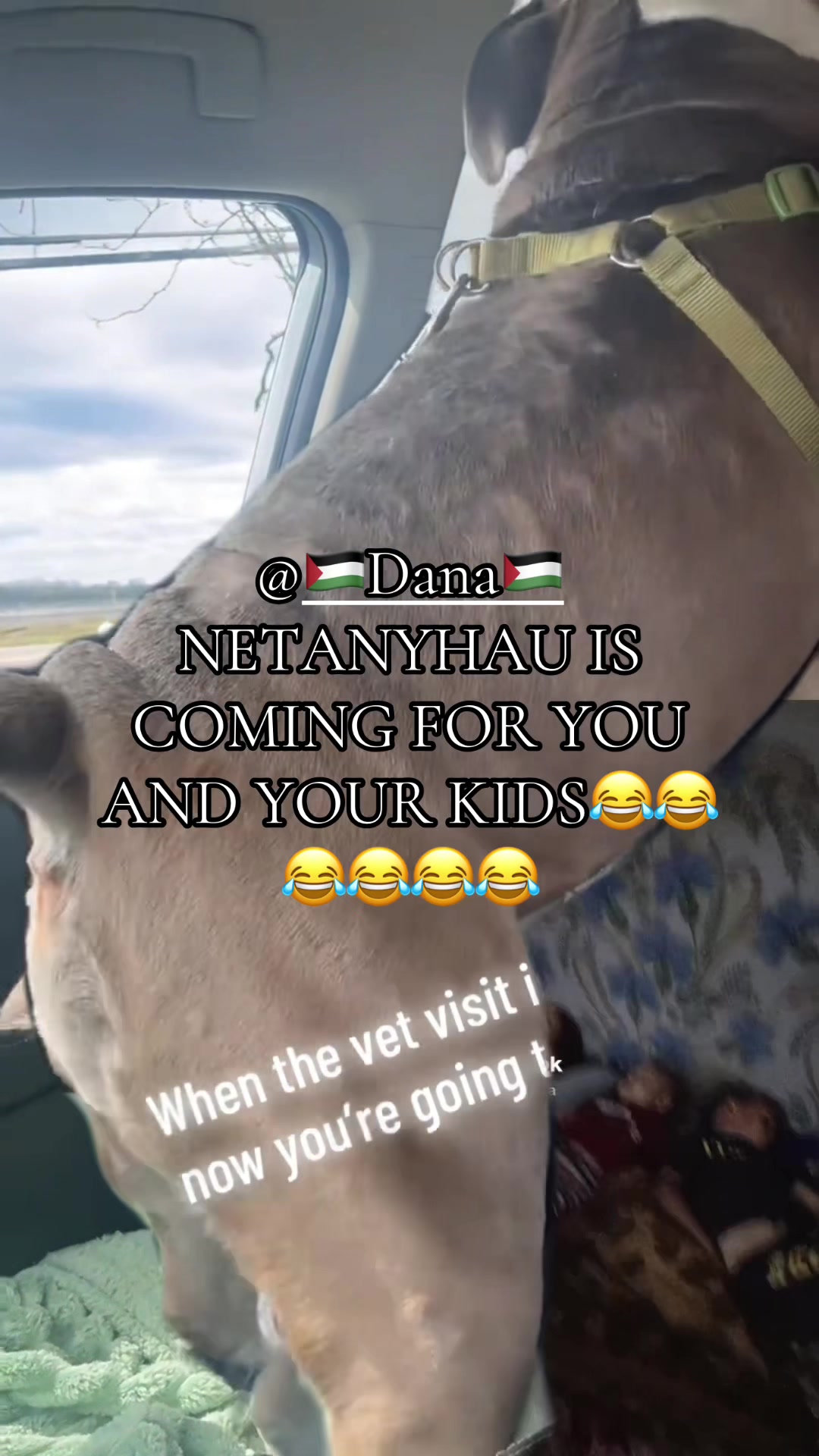 @yrrep