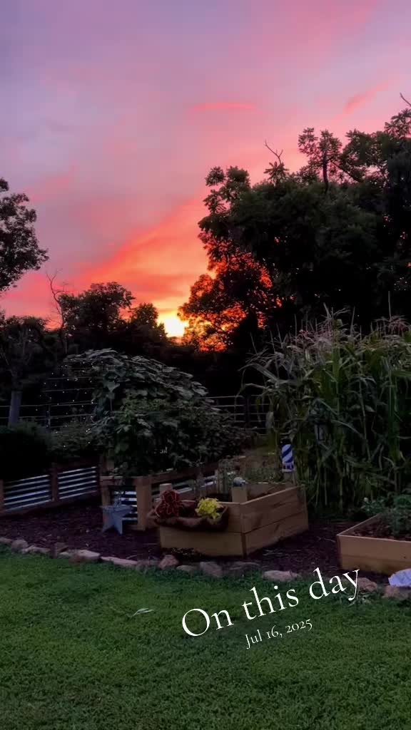 @jacksonridgefarm