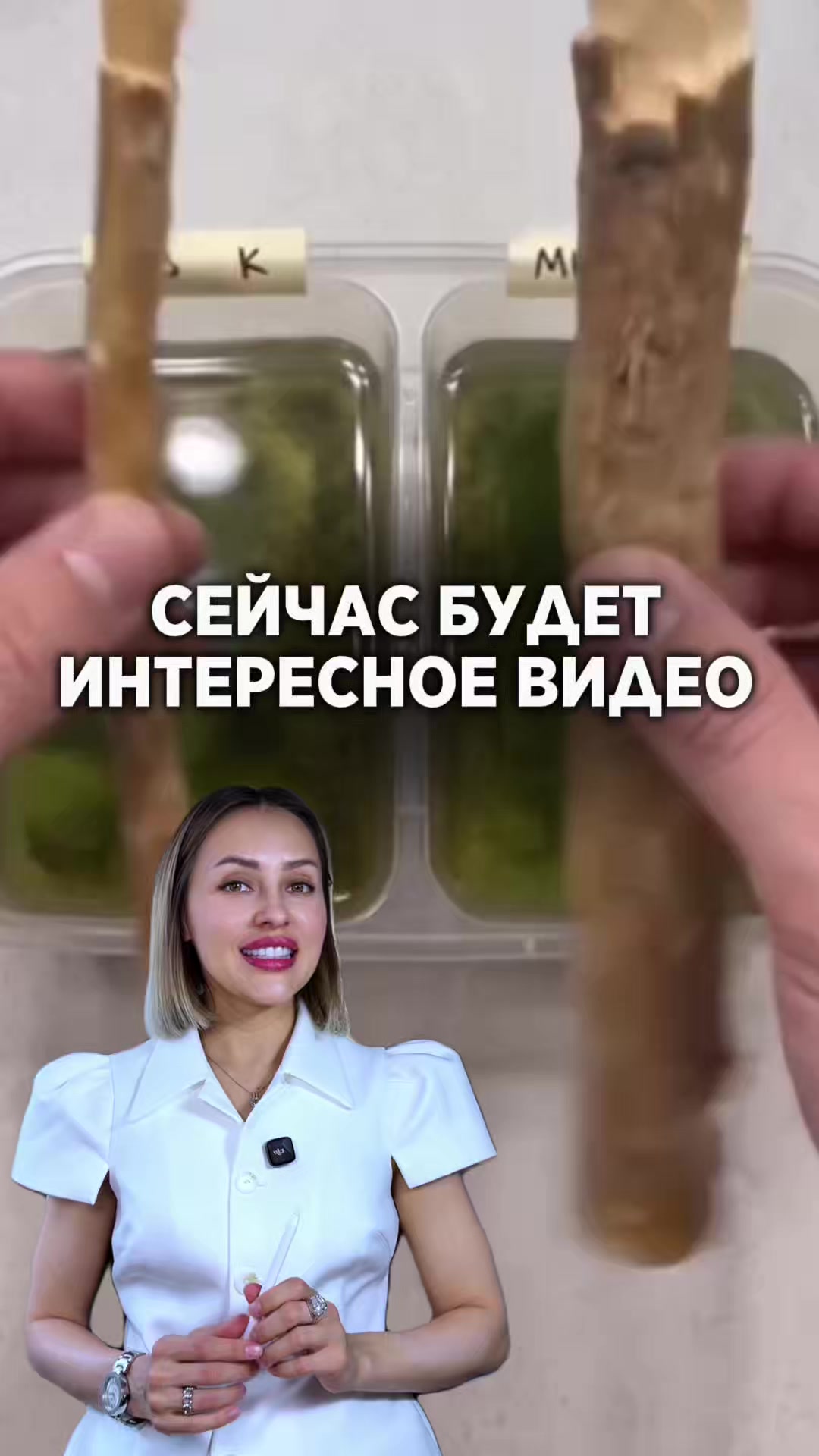 @Дарья Елышева