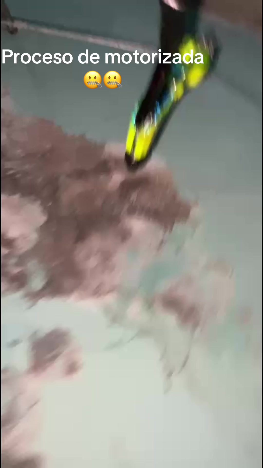 @Rolfhi☠️R1