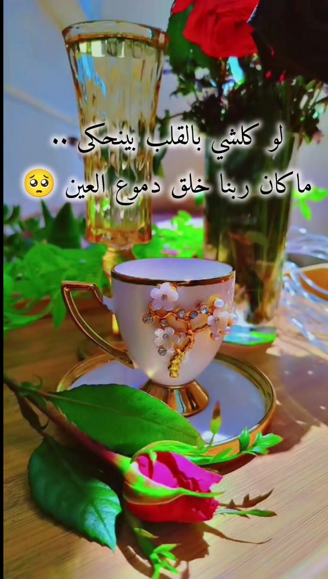@عبير الورد🧡🍂