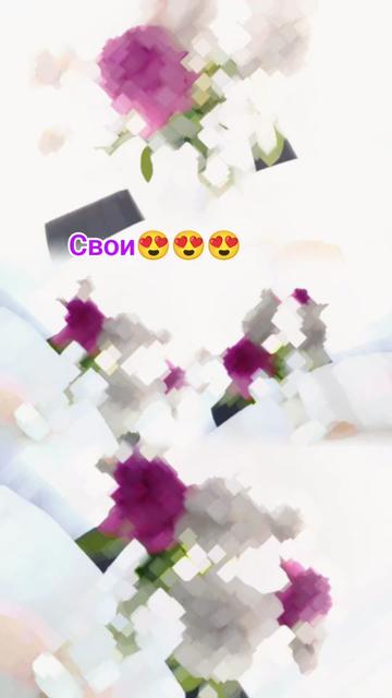 @111.MININA.111