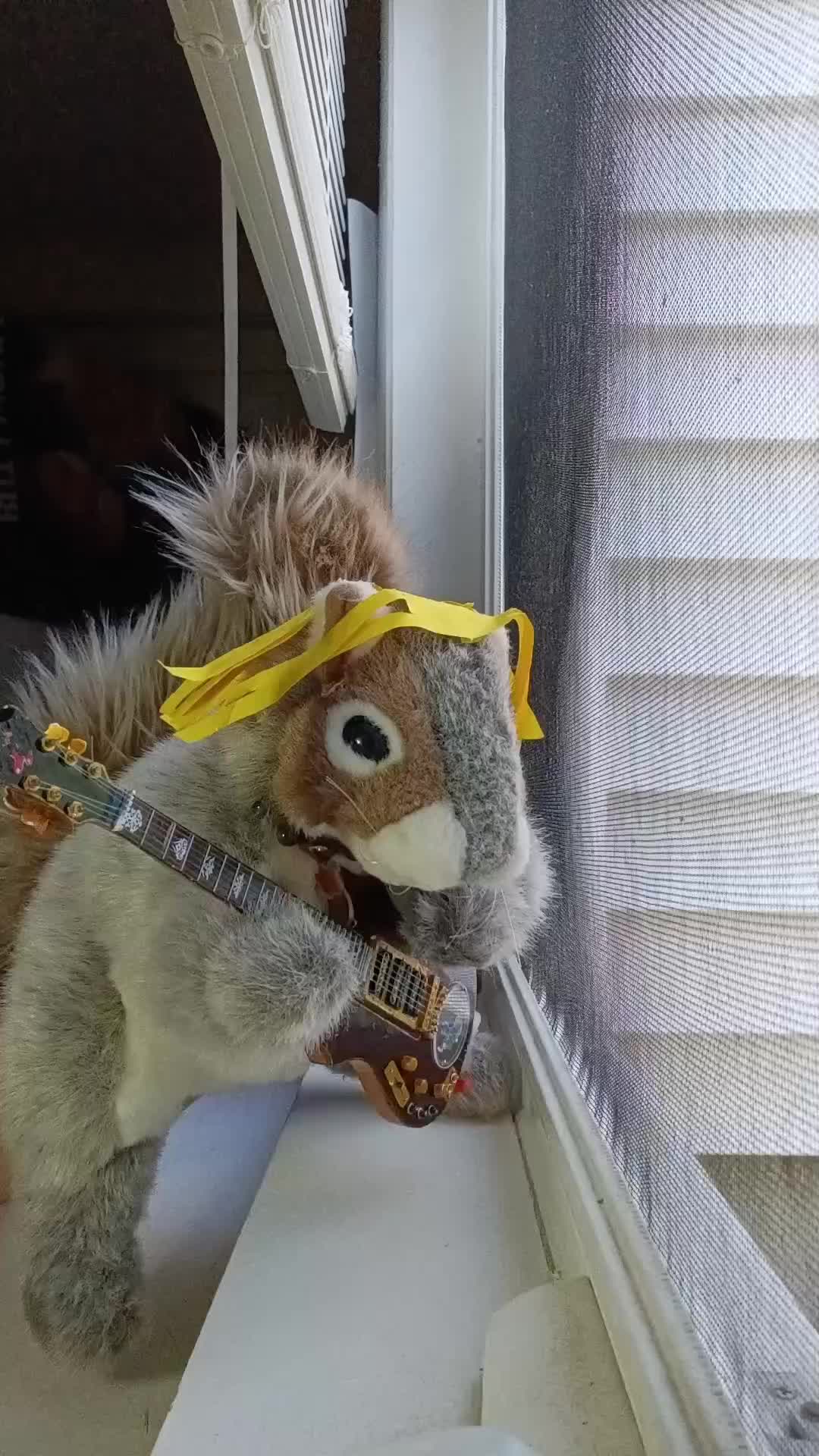 @Charles The Squirrel