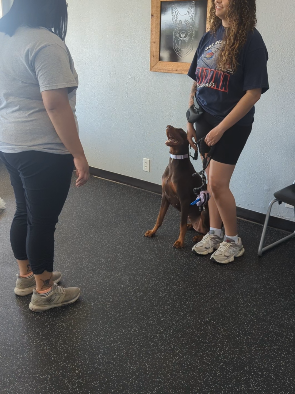 @South Paw Dog Training LLC